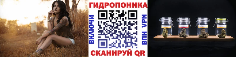 Марихуана гибрид блэк спрут ссылка Курильск